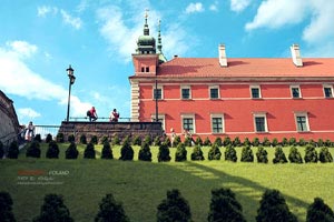 顶级外援加盟，球队整体实力提升