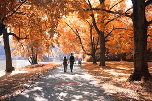 高水平对决激烈异常，中东区淘汰赛巅峰对决